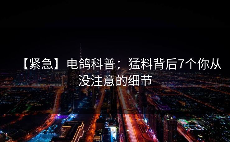 【紧急】电鸽科普：猛料背后7个你从没注意的细节