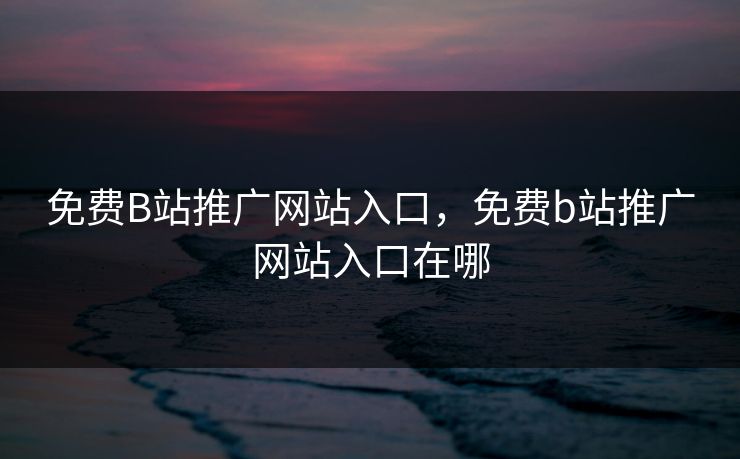 免费B站推广网站入口,免费b站推广网站入口在哪