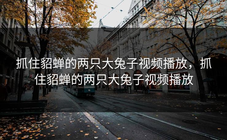 抓住貂蝉的两只大兔子视频播放,抓住貂蝉的两只大兔子视频播放