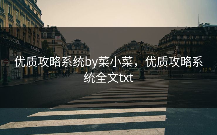 优质攻略系统by菜小菜,优质攻略系统全文txt