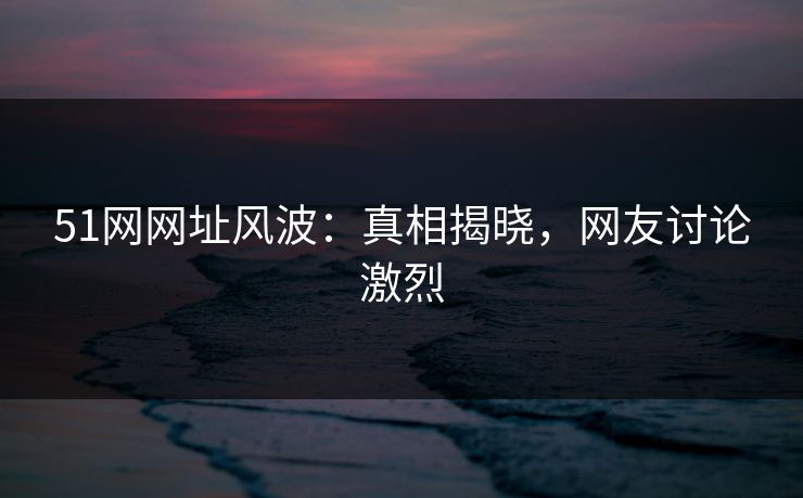 51网网址风波：真相揭晓，网友讨论激烈